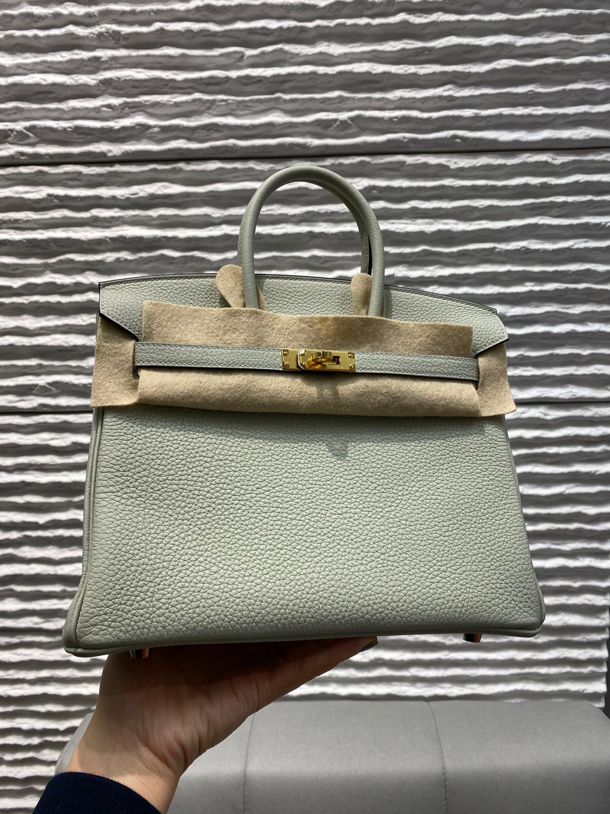 Hermes Birkin 25 Bastia